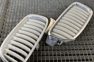 Calandre BMW SERIE 3 F31
