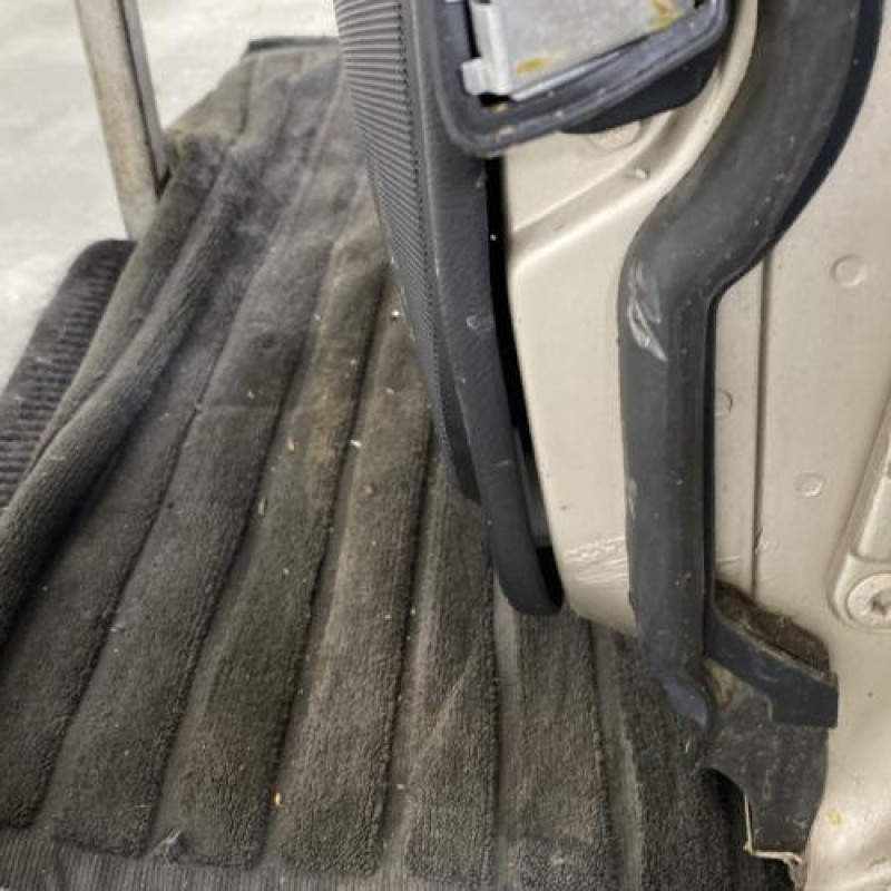 Porte arriere gauche MERCEDES CLASSE C 202 Photo n°6