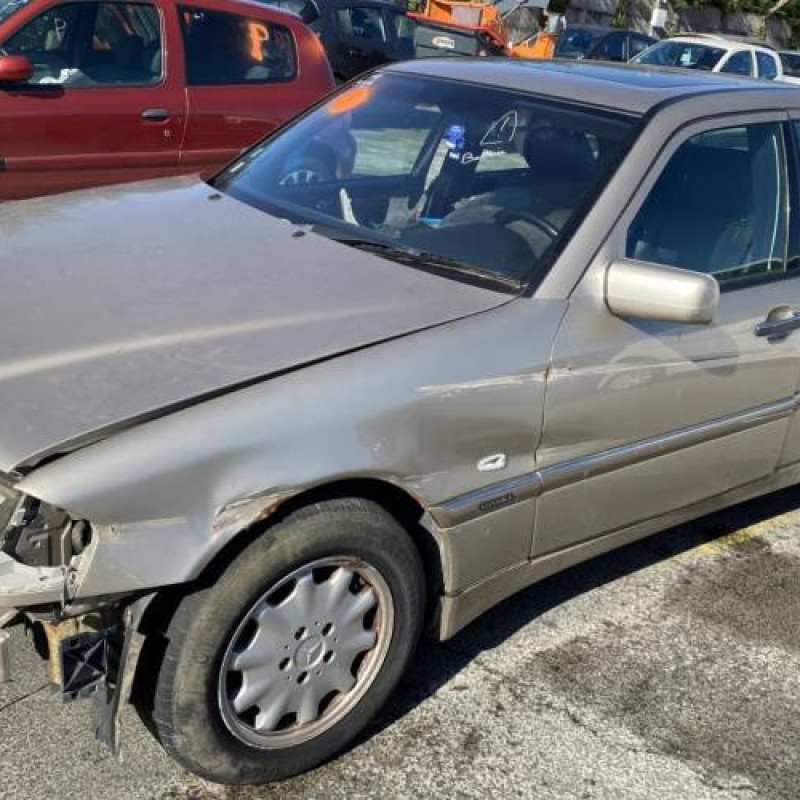 Porte arriere gauche MERCEDES CLASSE C 202 Photo n°10