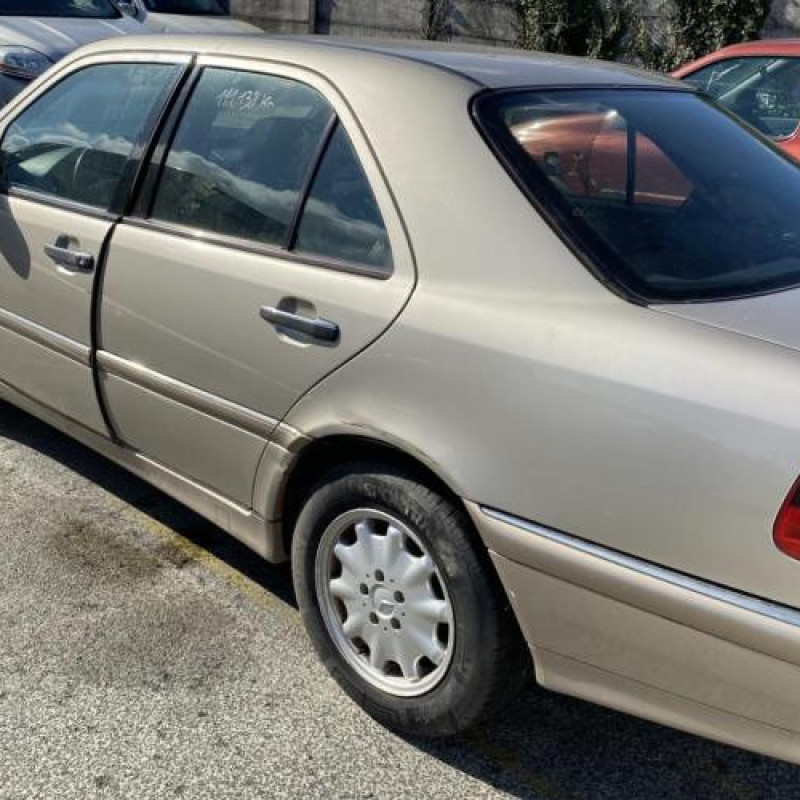 Porte arriere gauche MERCEDES CLASSE C 202 Photo n°11