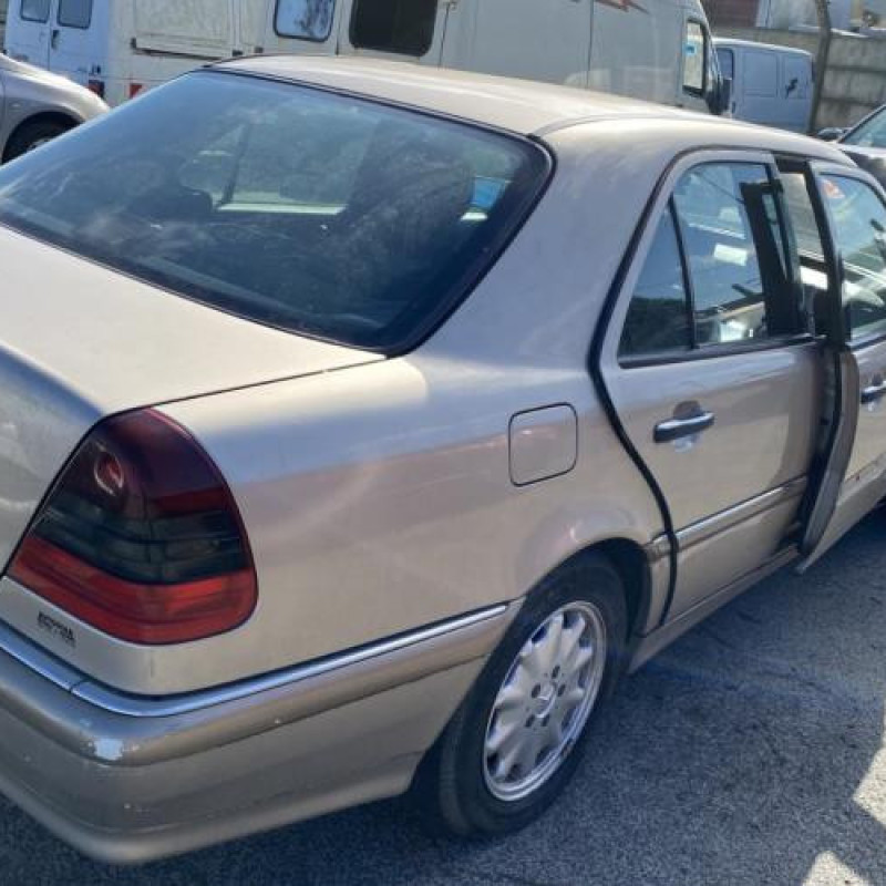 Porte arriere gauche MERCEDES CLASSE C 202 Photo n°12
