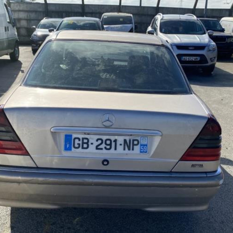 Porte arriere gauche MERCEDES CLASSE C 202 Photo n°13
