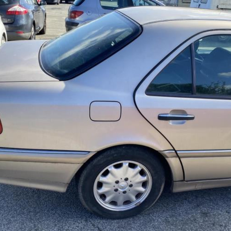 Porte arriere gauche MERCEDES CLASSE C 202 Photo n°14