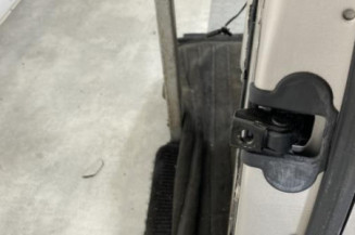 Porte arriere gauche BMW SERIE 5 F11
