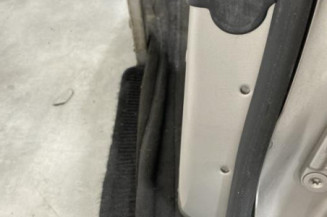 Porte arriere gauche BMW SERIE 5 F11