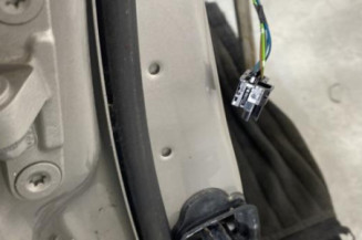 Porte avant droit BMW SERIE 5 F11