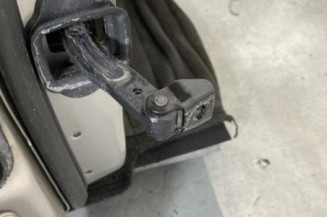 Porte avant droit BMW SERIE 5 F11