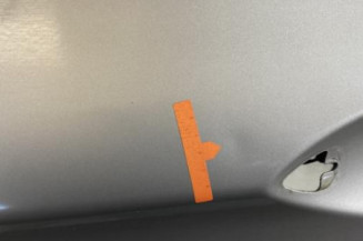 Porte avant gauche BMW SERIE 5 F11