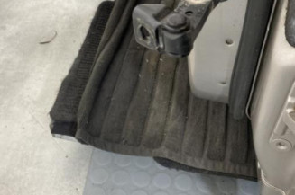 Porte avant gauche BMW SERIE 5 F11