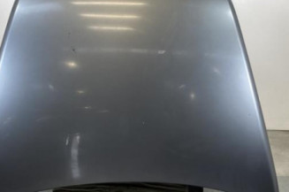 Capot VOLKSWAGEN TOUAREG 1 Photo n°1