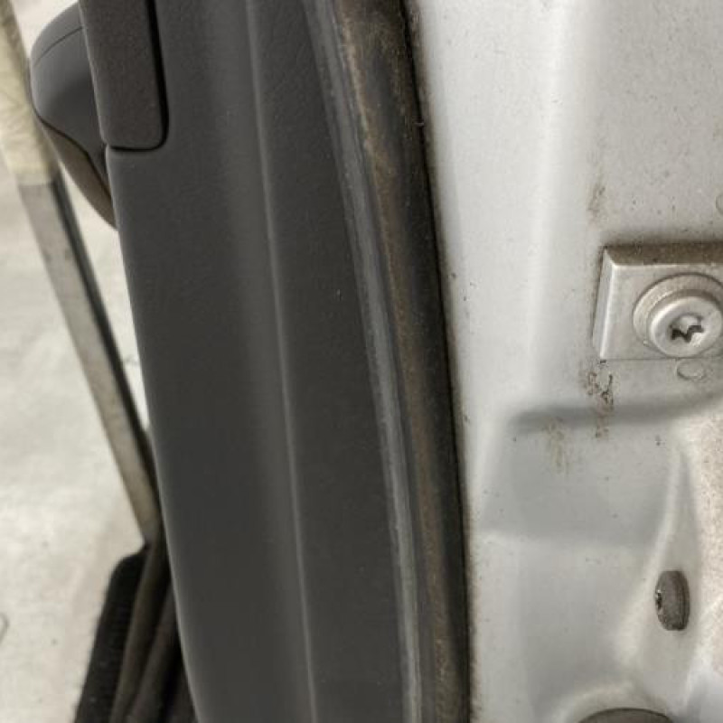 Porte arriere gauche AUDI A6 3 Photo n°4