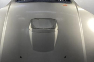 Capot KIA CARNIVAL 1 Photo n°1