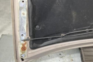 Capot KIA CARNIVAL 1