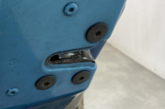 Porte arriere gauche RENAULT MODUS