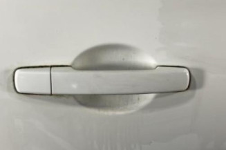 Porte arriere droit NISSAN QASHQAI 1