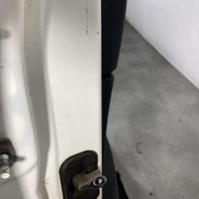 Porte arriere droit NISSAN QASHQAI 1 Photo n°5
