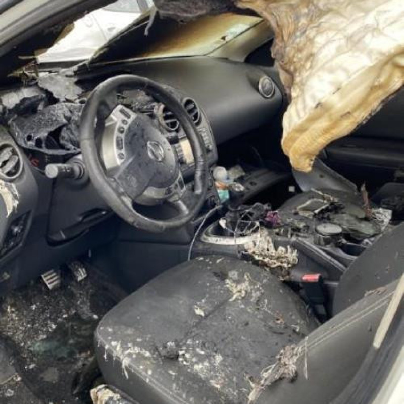 Porte arriere droit NISSAN QASHQAI 1 Photo n°16
