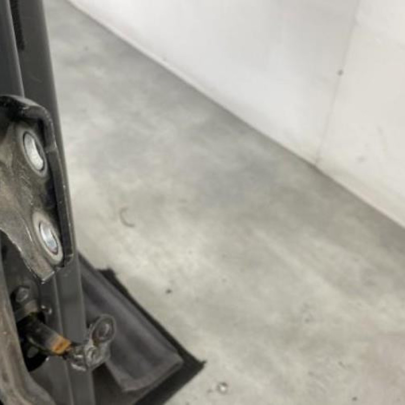 Porte arriere droit CHEVROLET AVEO 1 Photo n°4