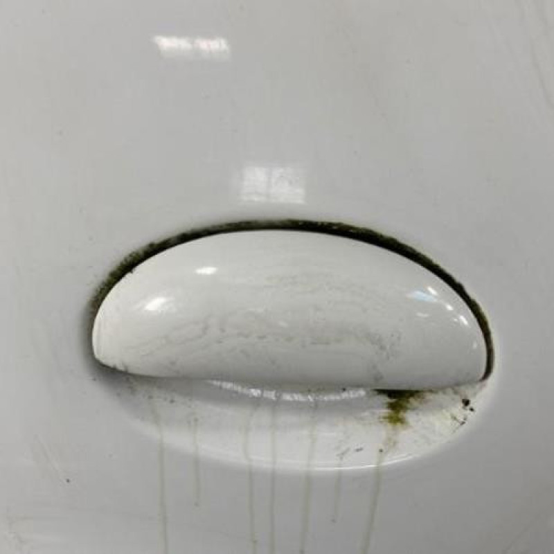Porte arriere droit CITROEN C1 1 Photo n°2