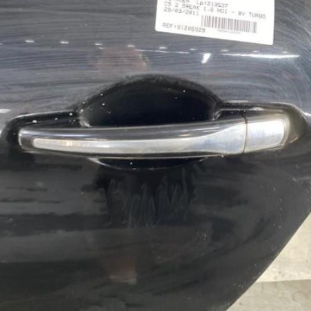Porte arriere gauche CITROEN C5 2