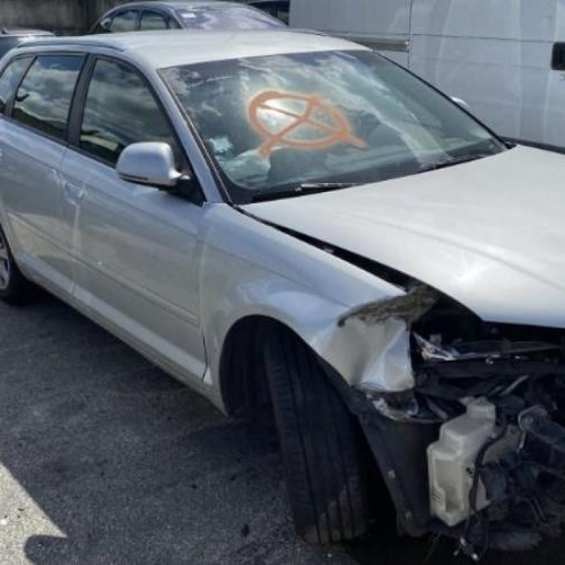 Malle/Hayon arriere AUDI A3 2 Photo n°10