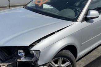 Malle/Hayon arriere AUDI A3 2