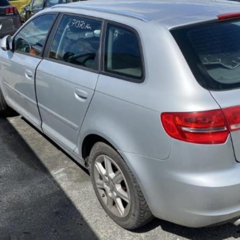 Malle/Hayon arriere AUDI A3 2 Photo n°12