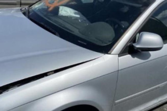 Malle/Hayon arriere AUDI A3 2