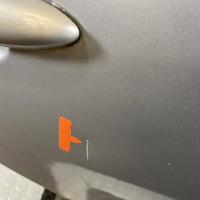 Porte arriere droit RENAULT MEGANE 3 Photo n°3