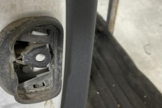 Porte arriere droit RENAULT MEGANE 3