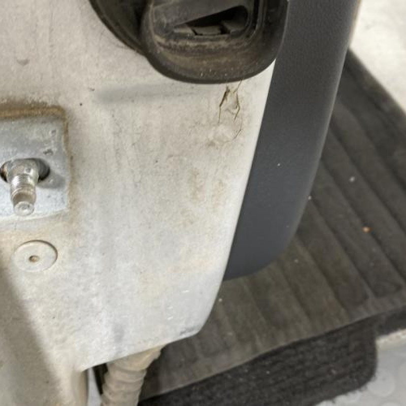 Porte arriere droit RENAULT MEGANE 3 Photo n°6