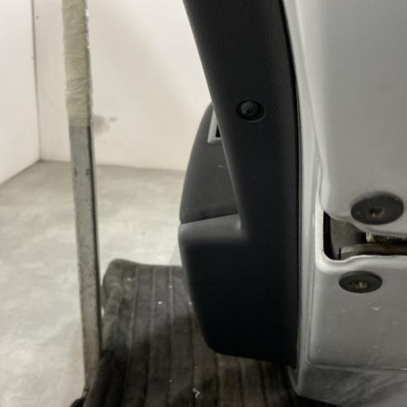Porte arriere droit RENAULT MEGANE 3 Photo n°7