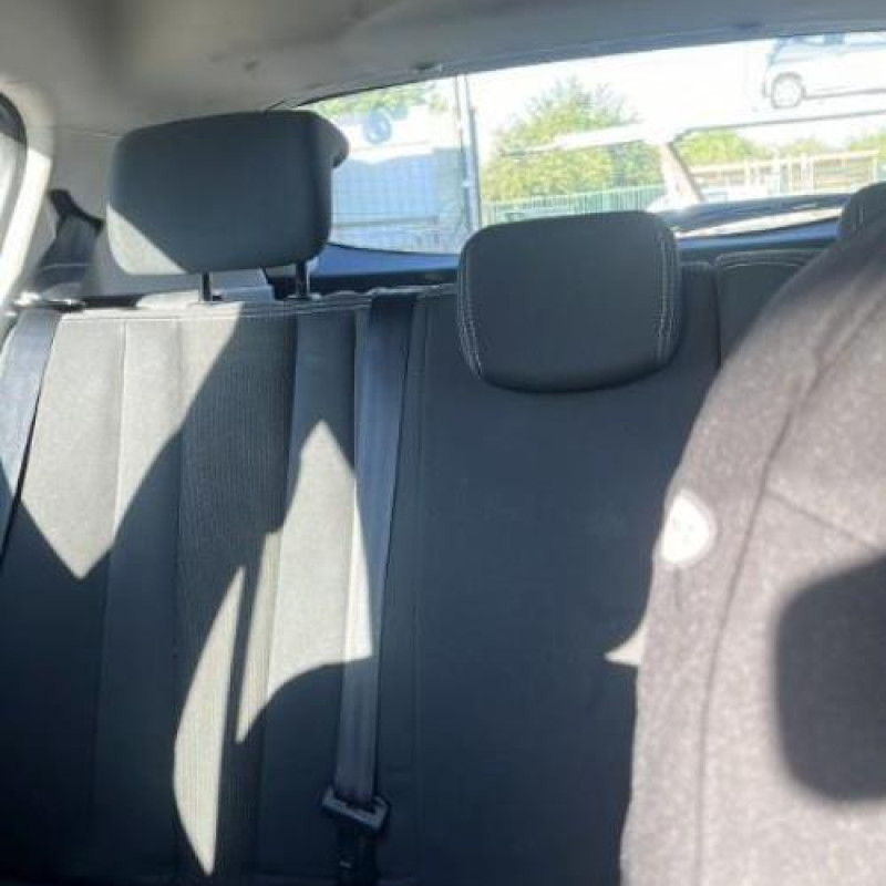 Porte arriere droit RENAULT MEGANE 3 Photo n°15
