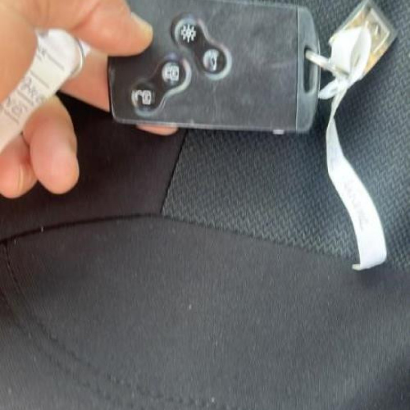 Porte arriere droit RENAULT MEGANE 3 Photo n°19