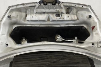 Capot PEUGEOT 107