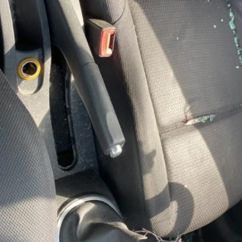 Feu arriere principal droit (feux) RENAULT CLIO 3 Photo n°16