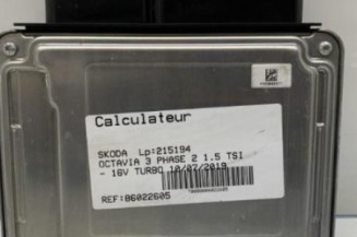 Calculateur SKODA OCTAVIA 3 Photo n°1