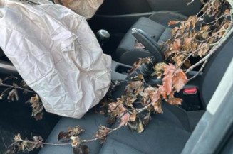 Calculateur moteur CITROEN C4 2