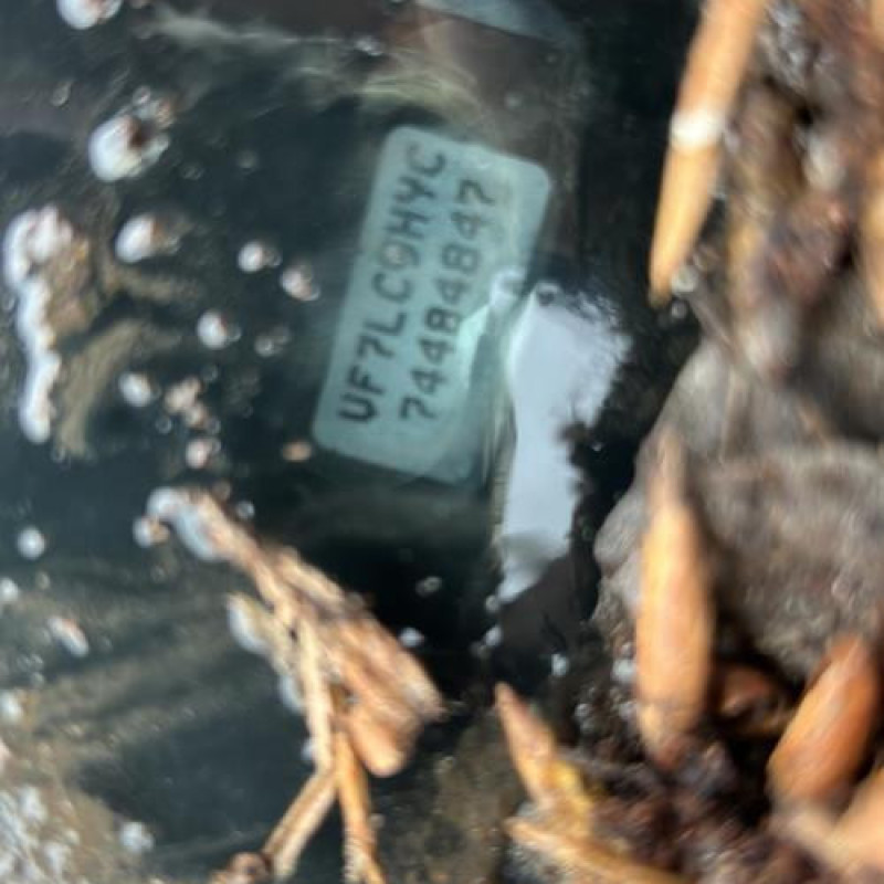 Calculateur CITROEN C4 1 Photo n°16