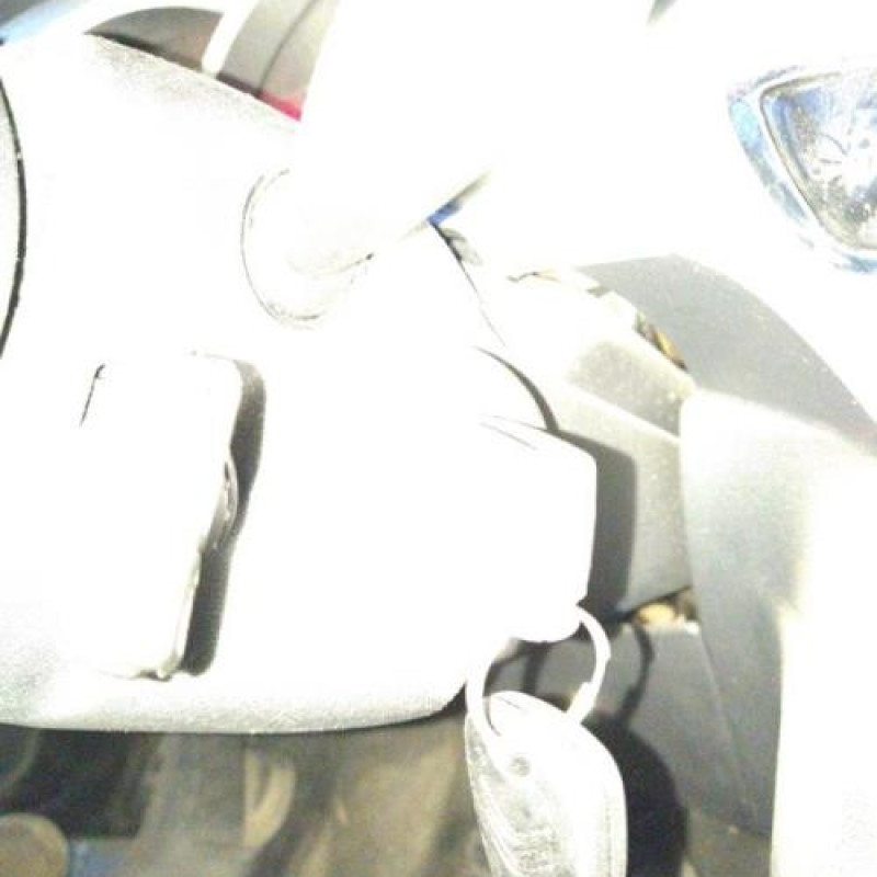Calculateur CITROEN C3 2 Photo n°12
