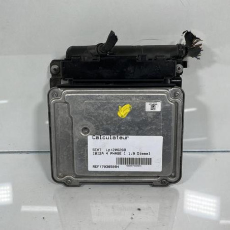 Calculateur moteur SEAT IBIZA 4