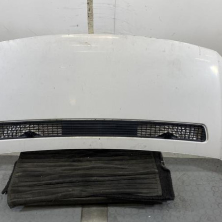 Capot FIAT SCUDO 2 Photo n°1