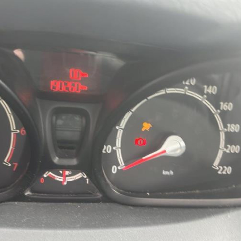 Porte avant gauche FORD FIESTA 6 Photo n°15