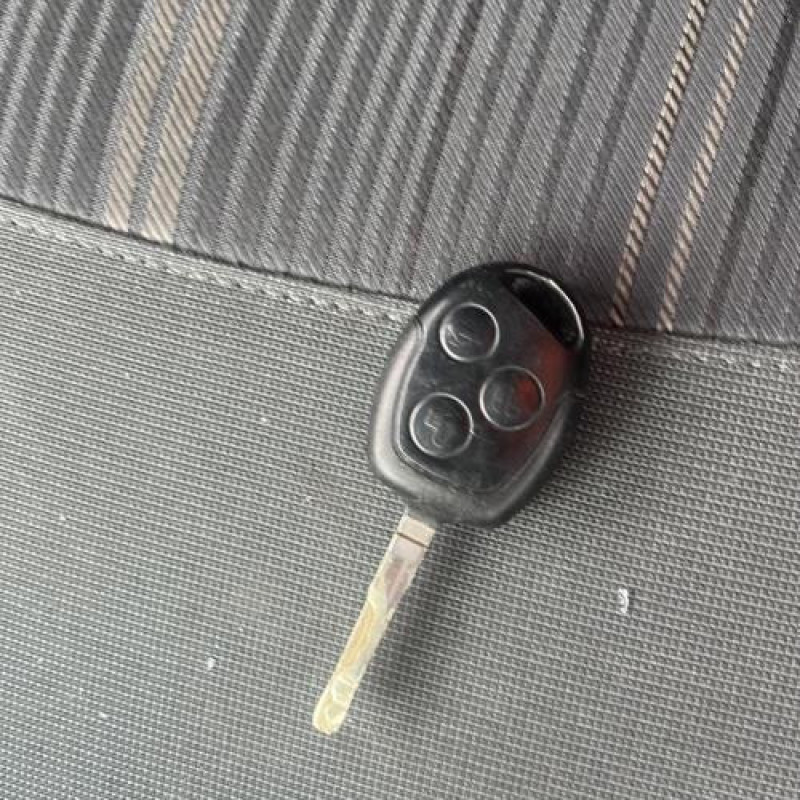 Porte avant gauche FORD FIESTA 6 Photo n°18