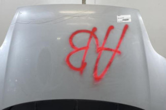 Capot FIAT PUNTO EVO 3 Photo n°1