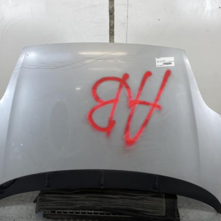 Capot FIAT PUNTO EVO 3 Photo n°1