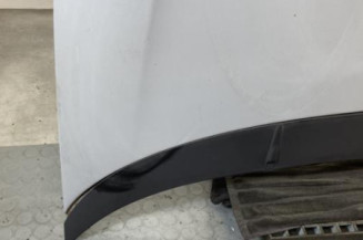 Capot FIAT PUNTO EVO 3