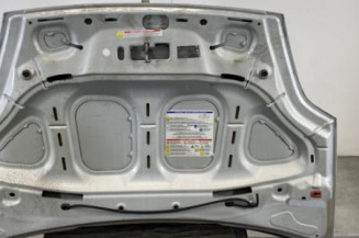 Capot FIAT PUNTO EVO 3