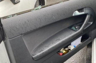 Porte avant gauche AUDI A3 2