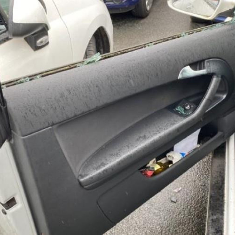 Porte avant gauche AUDI A3 2 Photo n°19